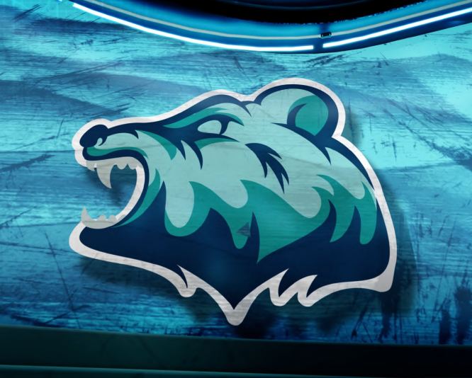 Hybrid 3D team graphics with a bear logo